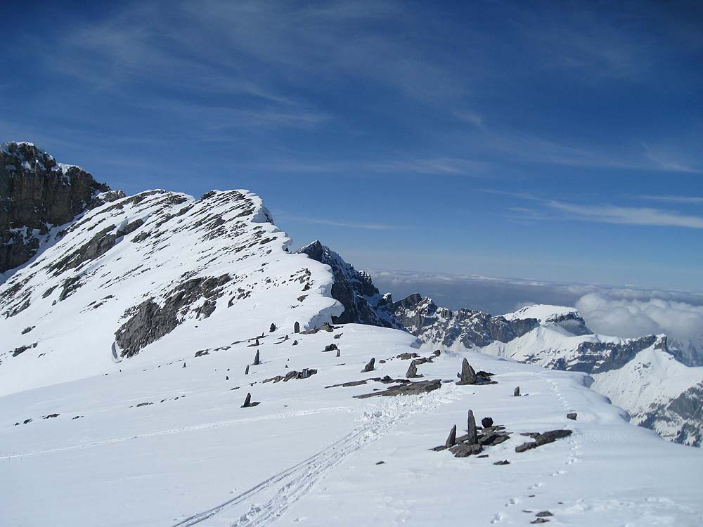 img_7469.jpg