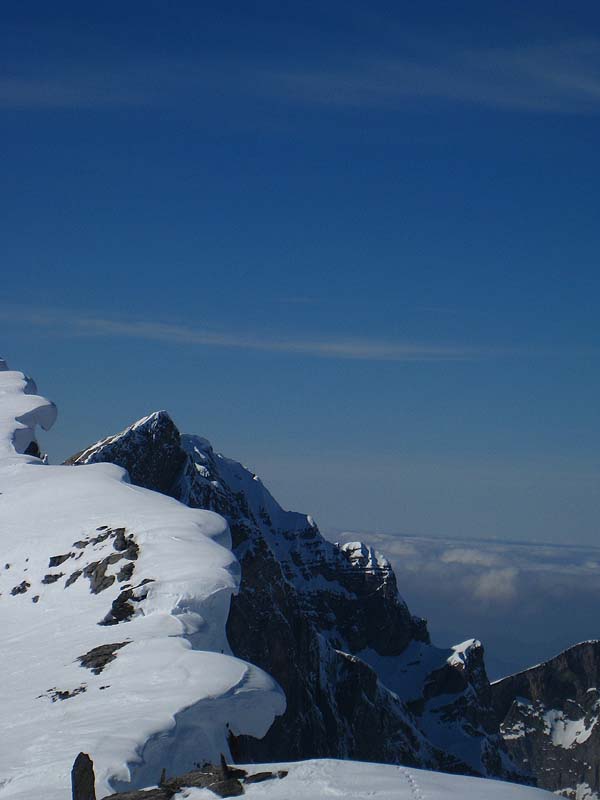 img_7471.jpg