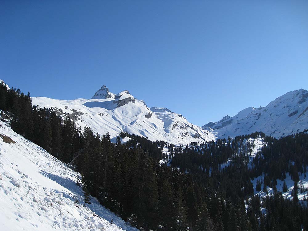 img_7543.jpg