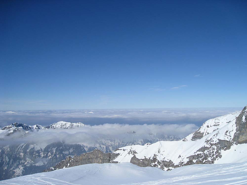 img_7595.jpg