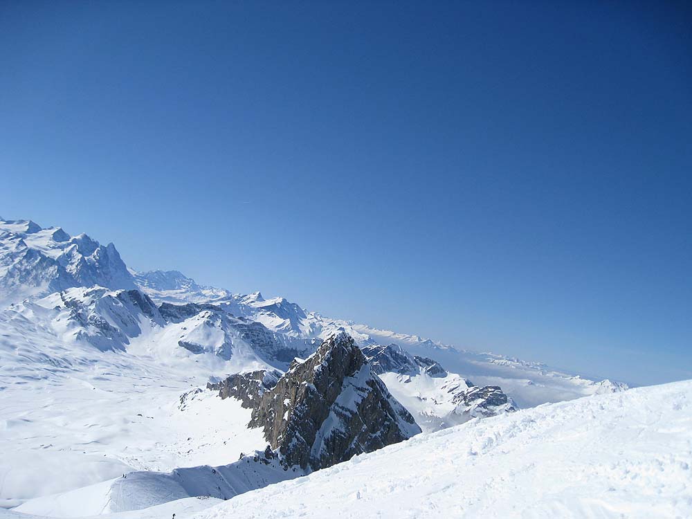 img_7608.jpg