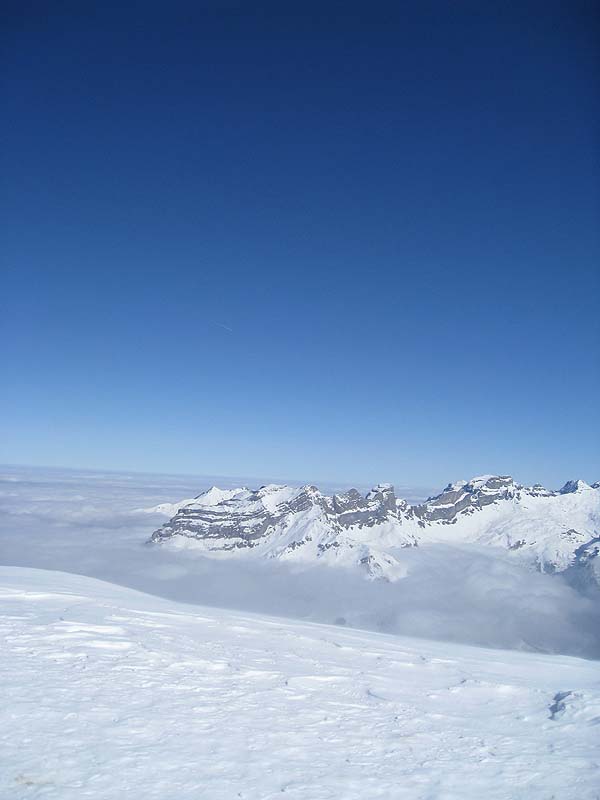 img_7620.jpg