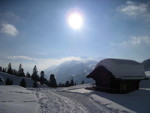 img_7521.jpg