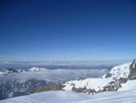 img_7595.jpg
