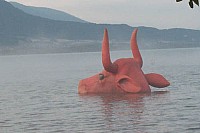 100_1307.jpg