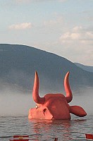 100_1313.jpg