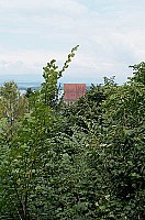 100_1331.jpg