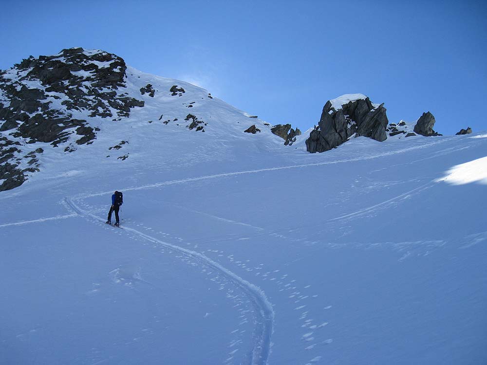 img_2313.jpg