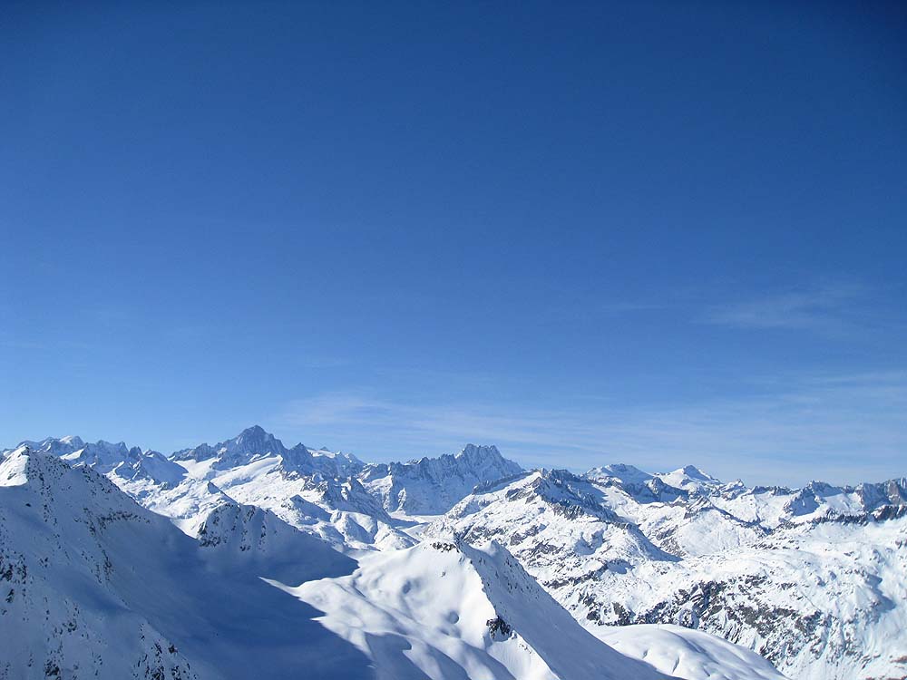 img_2336.jpg