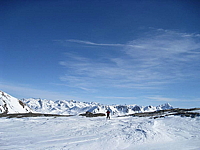 img_2310.jpg