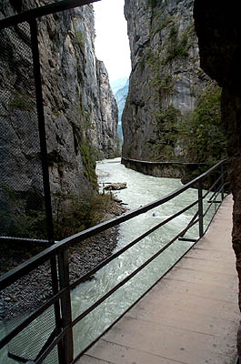 100_1594.jpg