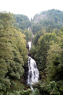 100_1608.jpg