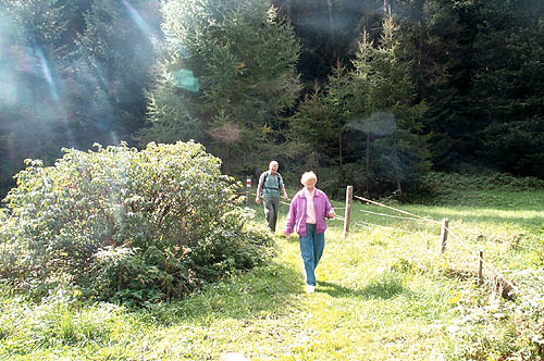 100_1632.jpg