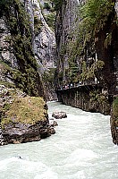 100_1591.jpg