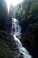 100_1600.jpg