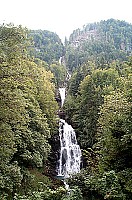 100_1608.jpg