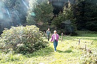 100_1632.jpg