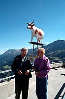 100_1684.jpg