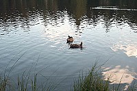100_1489.jpg
