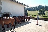 100_1493.jpg