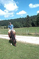 100_1500.jpg
