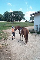 100_1506.jpg