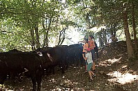 100_1511.jpg