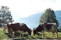 100_1549.jpg