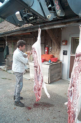 100_0623.jpg