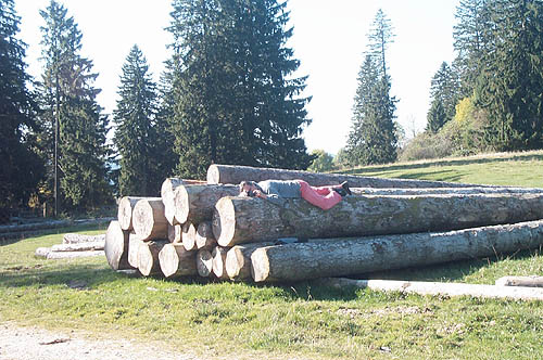 100_0628.jpg