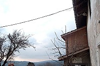 035.jpg