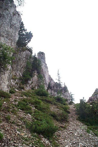 dcp_5383.jpg