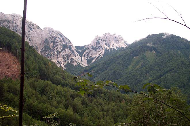 dcp_5387.jpg