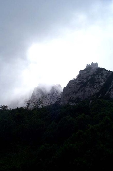 dcp_5396.jpg