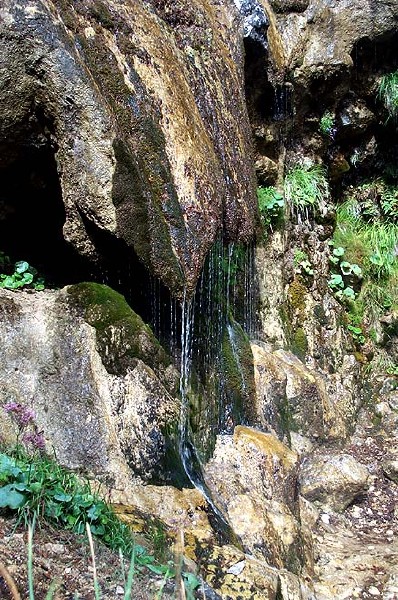 dcp_5440.jpg