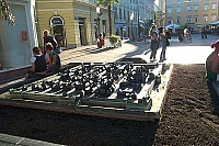 dcp_5320.jpg
