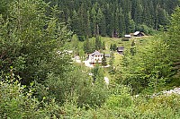 dcp_5345.jpg