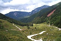 dcp_5347.jpg