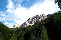 dcp_5351.jpg