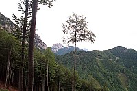 dcp_5366.jpg