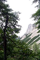 dcp_5367.jpg