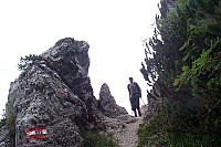 dcp_5379.jpg