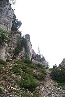 dcp_5383.jpg