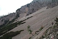 dcp_5384.jpg