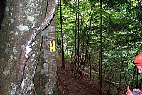dcp_5429.jpg