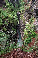 dcp_5447.jpg