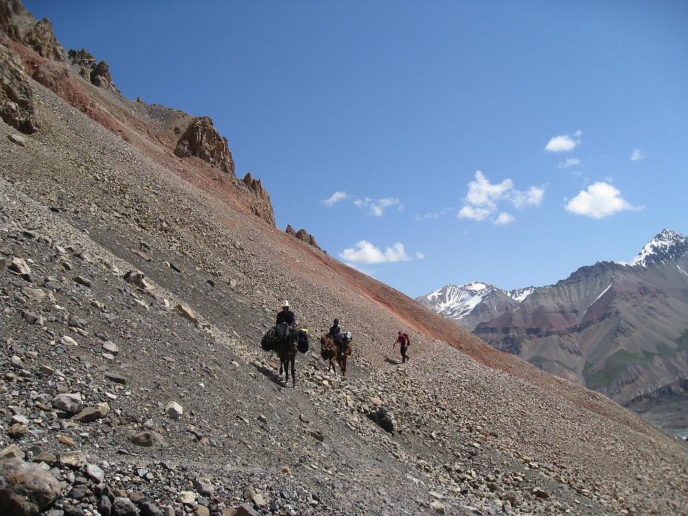 img_4443_x50.jpg
