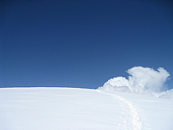 img_4626_x50.jpg