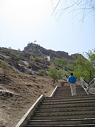 img_4910_x50.jpg