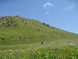 img_5091_x50.jpg